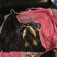 Givenchy Rottweiler for sale 